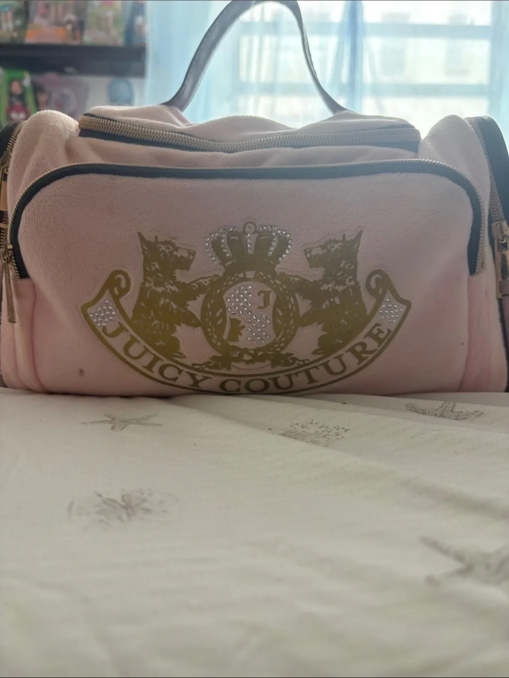 Juicy couture makeup bag